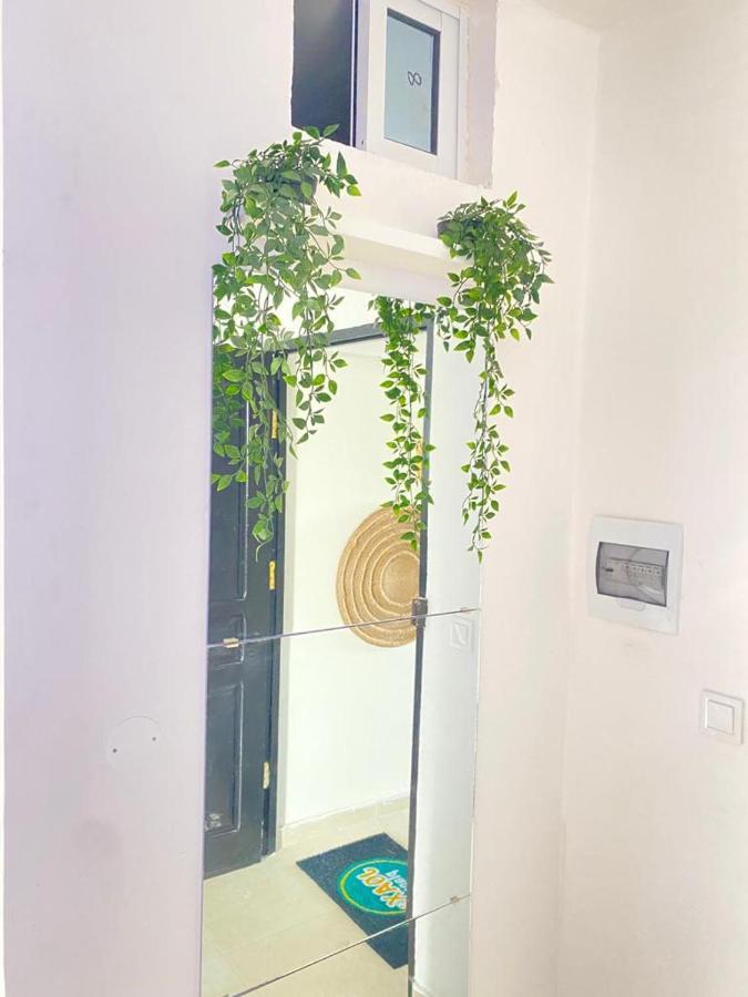 Quarto Nº6 Maria Bonita- Central ปรายา ภายนอก รูปภาพ